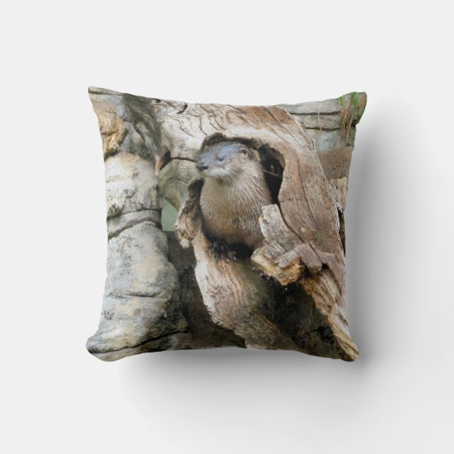 Harry Otter Cushion (Front)