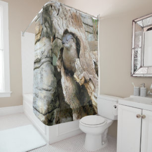 Harry Otter Shower Curtain
