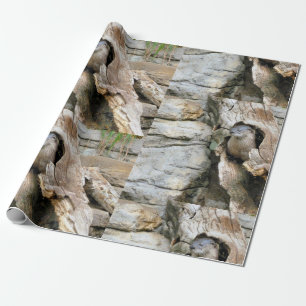 Harry Otter Wrapping Paper