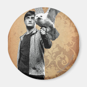 Harry Potter 12 Magnet