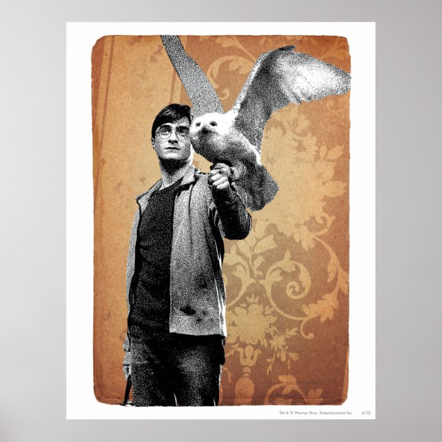 Harry Potter 12 Poster (Front)