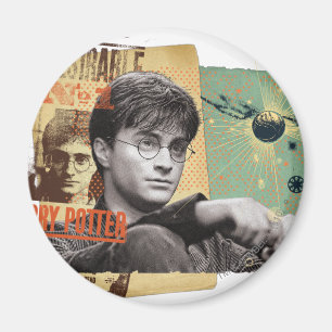 Harry Potter 13 Magnet
