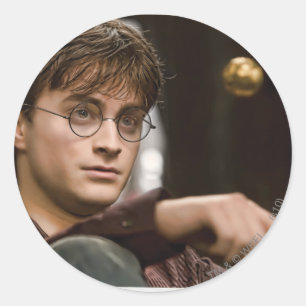 Harry Potter 17 Classic Round Sticker