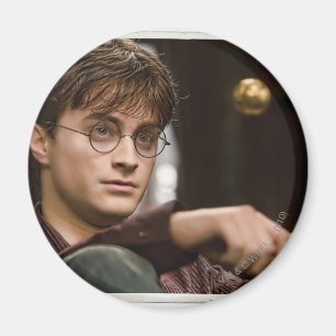 Harry Potter 17 Magnet