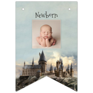 Harry Potter 1st Birthday 12 Month Photo Bunting F