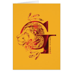 Harry Potter Aguamenti GRYFFINDOR™ Graphic