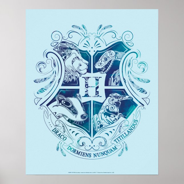 Harry Potter | Aguamenti HOGWARTS™ Crest Poster (Front)