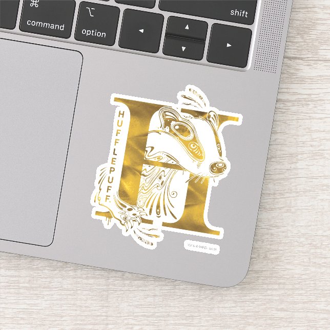 Harry Potter | Aguamenti HUFFLEPUFF™ Graphic (Detail)