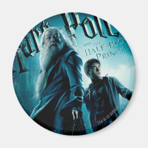 Harry Potter and Dumbledore on rocks 1 Magnet