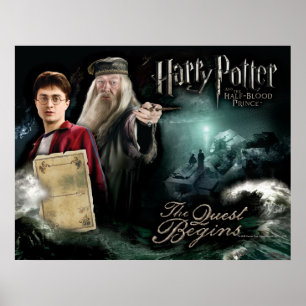 Harry Potter and Dumbledore Poster