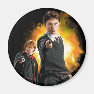 Harry Potter and Ron Weasely Magnet