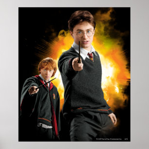 Harry Potter and Ron Weasely Poster