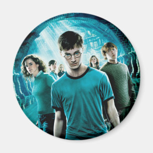 HARRY POTTER AND THE ORDER OF THE PHOENIX™ Blue Magnet