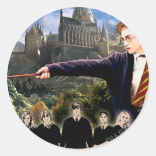 HARRY POTTER AND THE ORDER OF THE PHOENIX™ CLASSIC ROUND STICKER