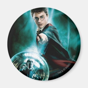 Harry Potter and Voldemort Only One Can Survive Magnet