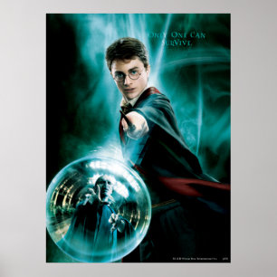 Harry Potter and Voldemort Only One Can Survive Poster