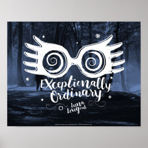 Harry Potter   Exceptionally Ordinary Poster