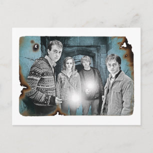 Harry Potter Group Shot Postcard