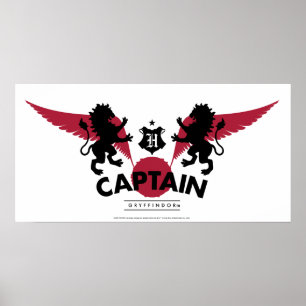 Harry Potter GRYFFINDOR™ House Quidditch Captain Poster