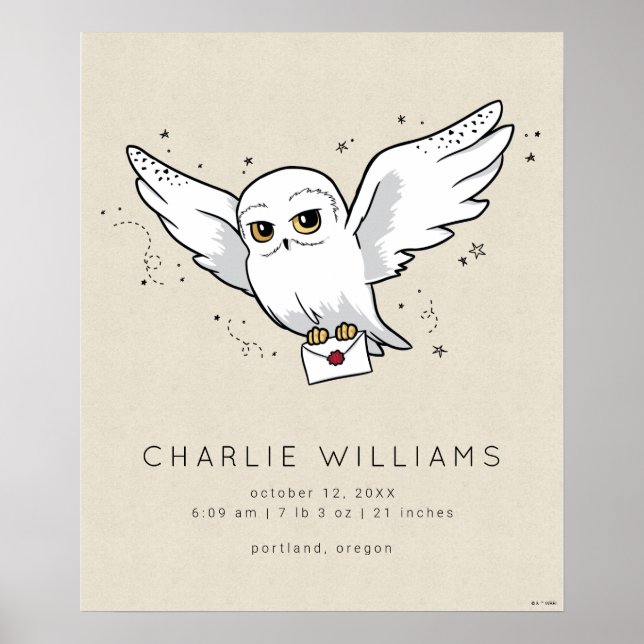 Harry Potter | Hedwig Baby Birth Stats Poster (Front)