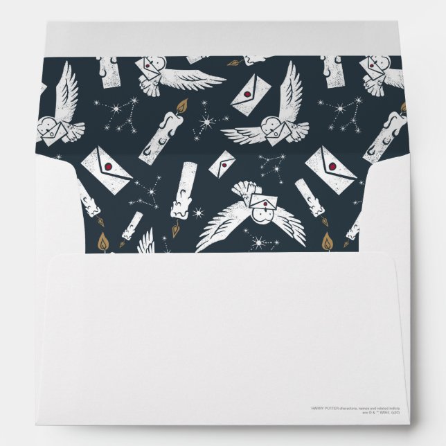 HARRY POTTER™ Hedwig Delivering Letters Pattern Envelope (Back (Bottom))
