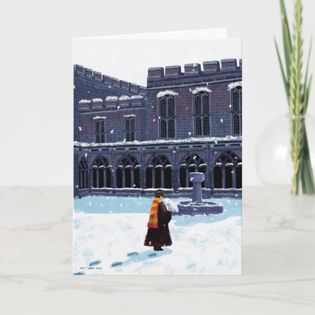HARRY POTTER™ & Hedwig in HOGWARTS™ Courtyard Card (Front)