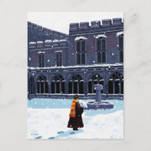 HARRY POTTER™ & Hedwig in HOGWARTS™ Courtyard Postcard