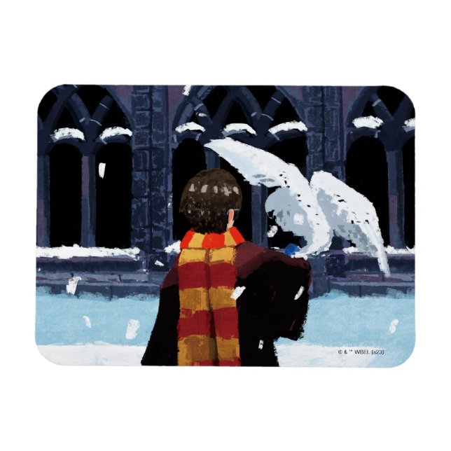 HARRY POTTER™ & Hedwig in the Snow Magnet (Horizontal)