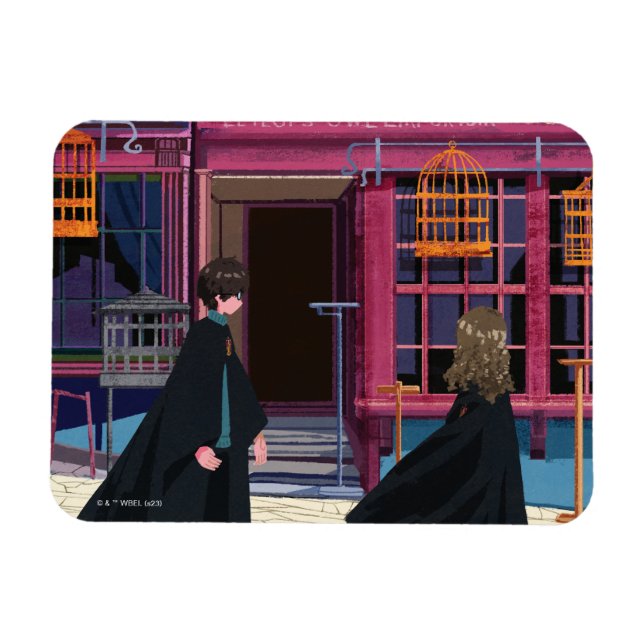 HARRY POTTER™ & Hermione at Eeylops Owl Emporium Magnet (Horizontal)