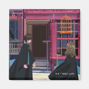 HARRY POTTER™ & Hermione at Eeylops Owl Emporium Magnet