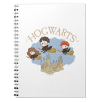 HARRY POTTER™, Hermione, & Ron Fly Over HOGWARTS™