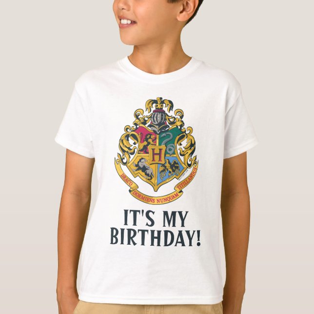 Harry Potter | Hogwarts - It's My Birthday T-Shirt (Front)