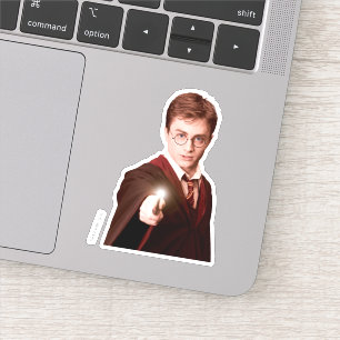 Harry Potter Points Wand