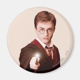 Harry Potter Points Wand Magnet