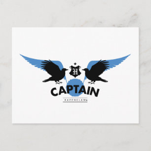 Harry Potter   RAVENCLAW™ House Quidditch Captain Postcard