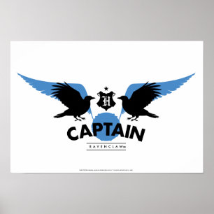 Harry Potter   RAVENCLAW™ House Quidditch Captain Poster