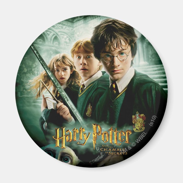 Harry Potter Ron Hermione Dobby Group Shot Magnet (Front)