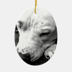 harry potter scar dog white pit bull ceramic tree decoration