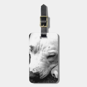 harry potter scar dog white pit bull luggage tag