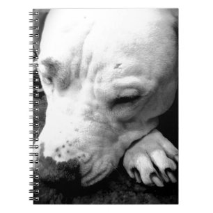 harry potter scar dog white pit bull notebook