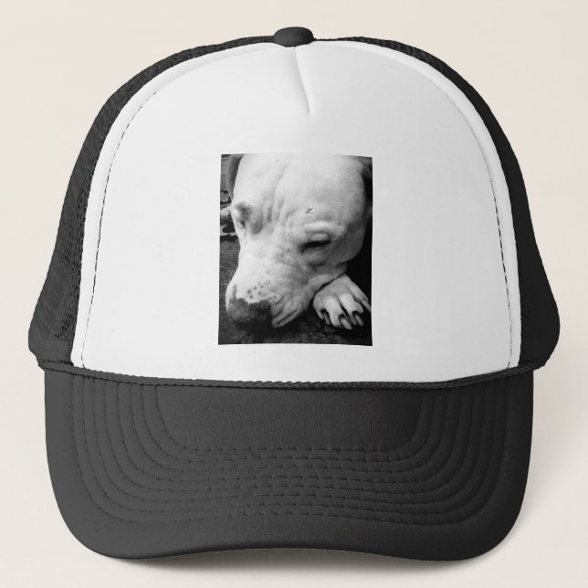 harry potter scar dog white pit bull trucker hat (Front)