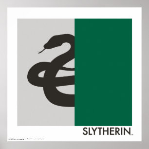 Harry Potter   Slytherin House Pride Graphic Poster