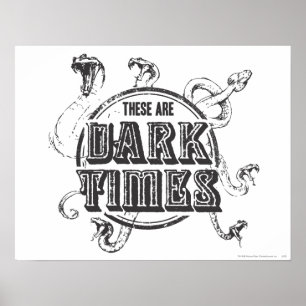Harry Potter Spell   Dark Times Poster