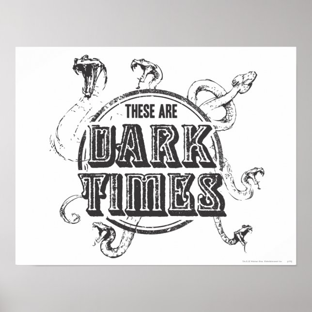 Harry Potter Spell | Dark Times Poster (Front)