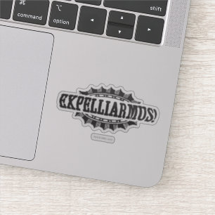 Harry Potter Spell   Expelliarism!