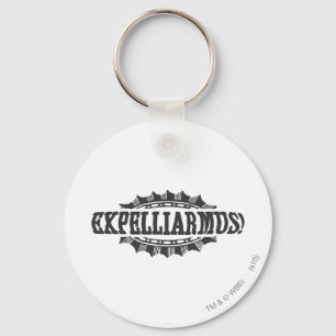 Harry Potter Spell   Expelliarmus! Key Ring
