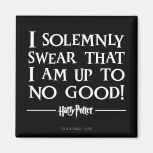 Harry Potter Spell   I Solemnly Swear Magnet