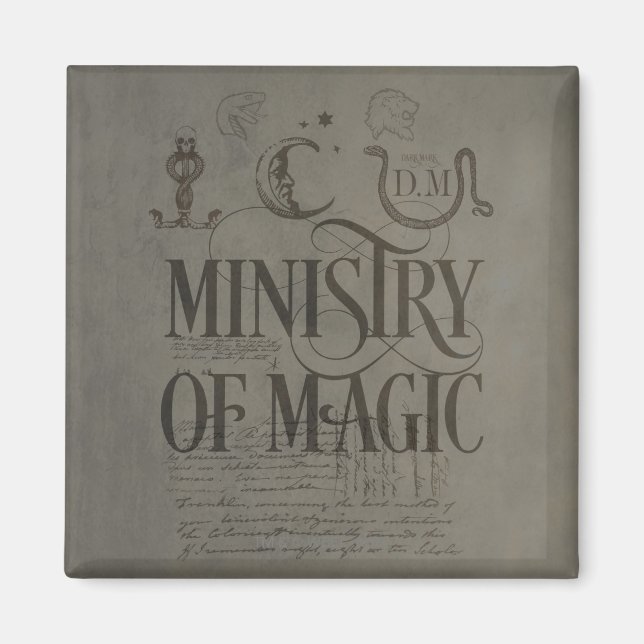 Harry Potter Spell | MINISTRY OF MAGIC Magnet (Front)