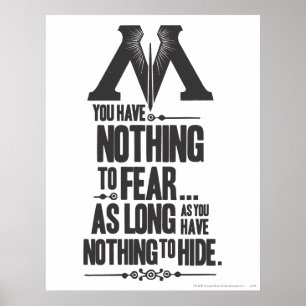 Harry Potter Spell   Ministry of Magic Propaganda Poster