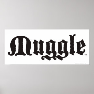 Harry Potter Spell   Muggle Poster